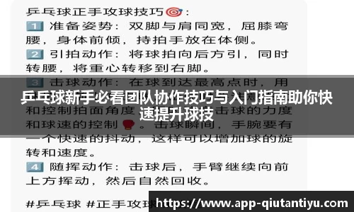 乒乓球新手必看团队协作技巧与入门指南助你快速提升球技